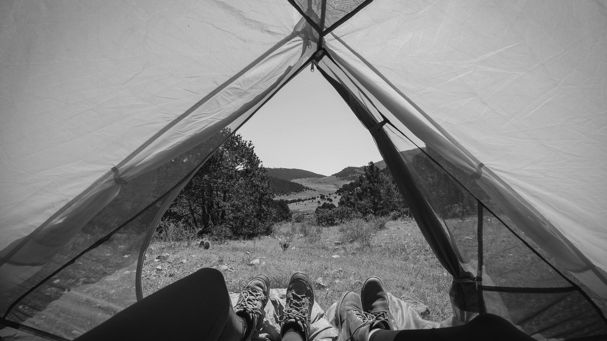 Camping para Principiantes: Todo lo que Necesitas Saber Antes de tu Primera Aventura