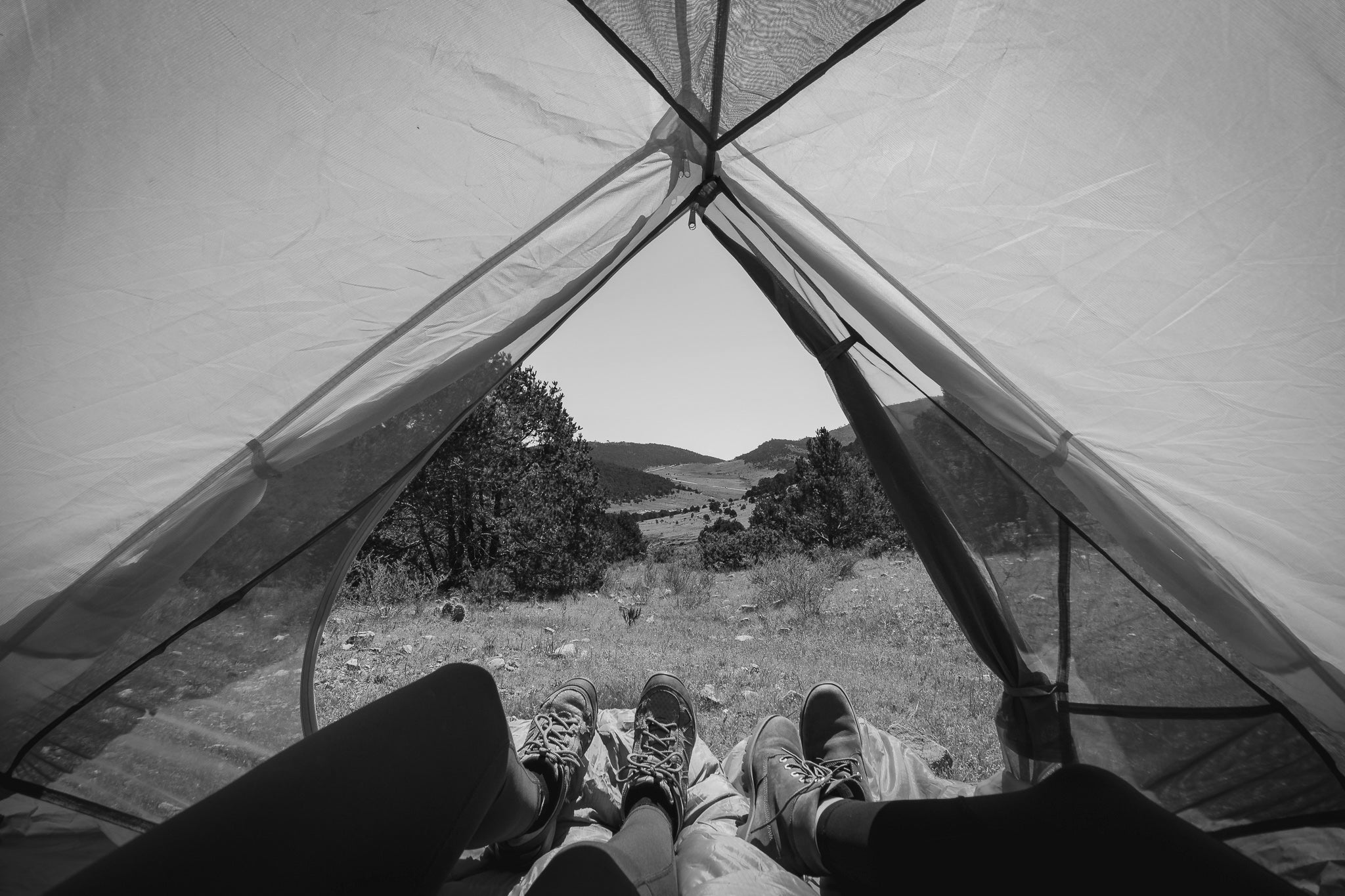 Camping para Principiantes: Todo lo que Necesitas Saber Antes de tu Primera Aventura